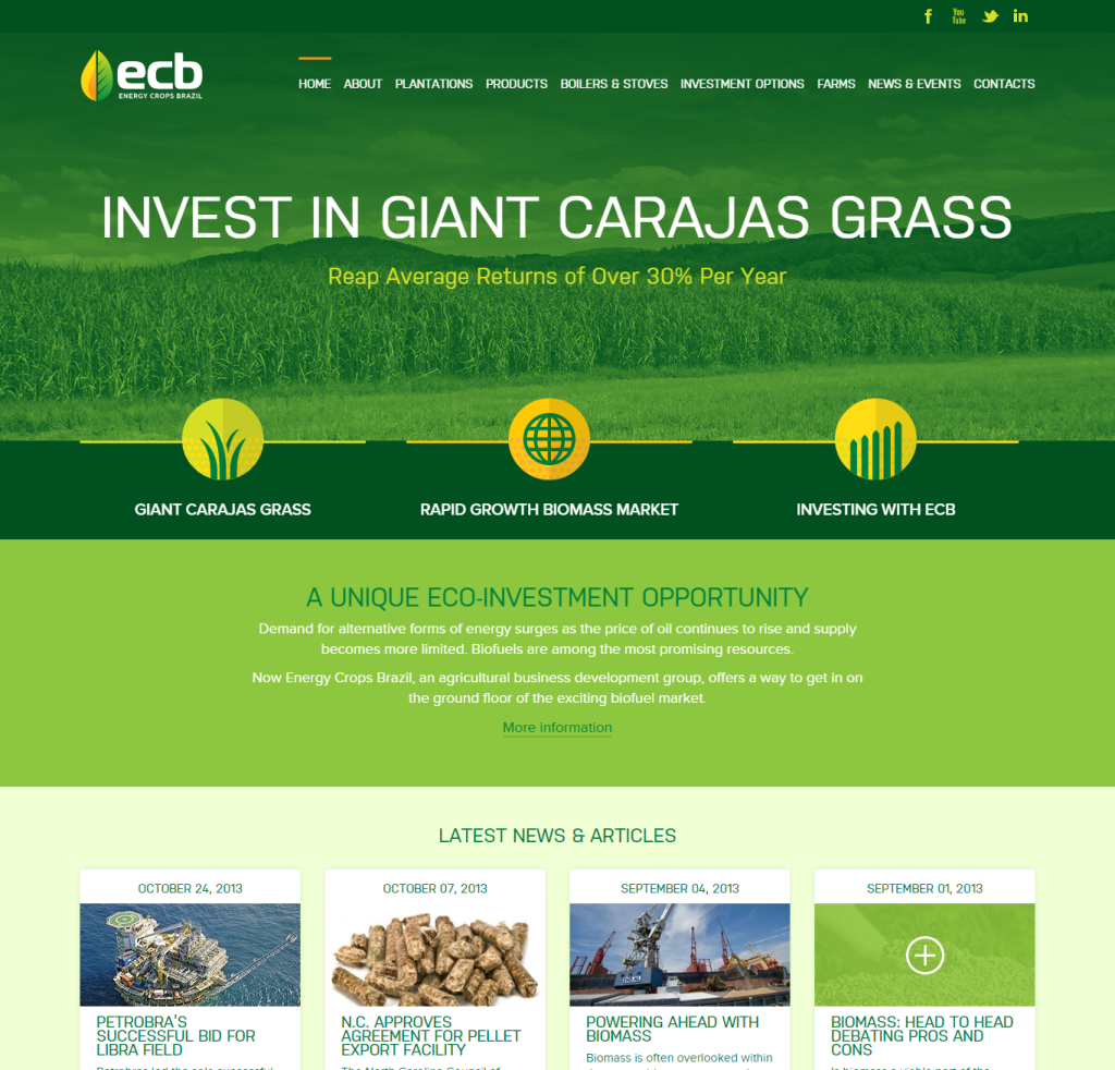 energy crops brazil homepage