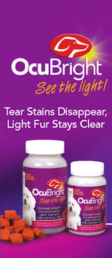 Ocubright Brochure