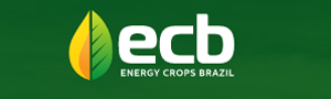 Energy Crops Brazil